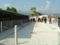 Hayvan Haklar� G�n� kutlan�yor