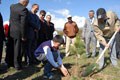 �zzet Baysal Hat�ra Orman�?na a�a� dikim t�reni yap�ld�