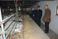 Akp�nar ke�i �retim �iftli�ini inceledi