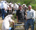 Ar�c�lar, ar� gibi