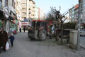 A�a�lar budan�yor