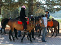 Arap turistler Abant'a ak�n ediyor