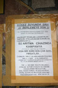 K�kez �e�melerinde ilgin� kampanya