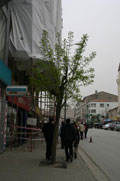 �skele tehlike yarat�yor, Vatanda� umarsam�yor