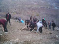 Seben?de fidan dikimi