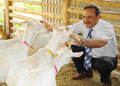Hedef 220 ton
