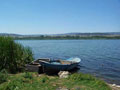 G�l 6 bin Tl?ye kiraland�