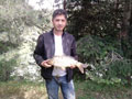 Sekiz kiloluk aynal� sazan yakalad� 