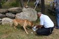 �zt�rk?�n sevgisi parmak �s�rt�yor