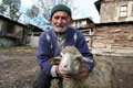 A� kurtlar solu�u ah�rda ald�