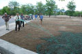 Atat�rk Orman Park� �imleniyor