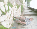 Elektrik hayvanlar�m� �ld�r�yor