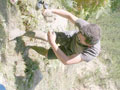 Romatizmay� bitiren �amur