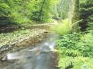 Bolu’ya 203 milyon’luk yat�r�m