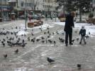 Kar g�vercinlere yaramad�
