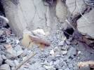 Nihayet ilk s�raday�z