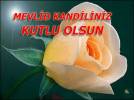 Hepimiz i�in hay�rl� bir gece