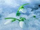 �lk cemre d��t�