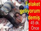 Felaket geliyorum demi�
