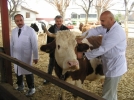 Binlerce �retici ma�dur
