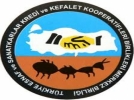2010 y�l� de�erlendirilecek