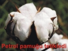 Petrol pamu�u tetikledi