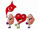 B�breklerini koru, kalbini kurtar