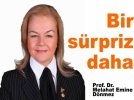 A�B�’den bir aday aday� daha