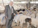 Belgesiz ta��ma yasak