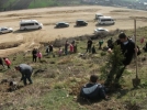 Miniklerden �rnek davran��