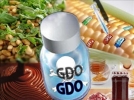 GDO lu �r�n ithalat�na izin