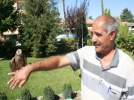 ��te �evre bilinci