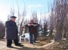 Bolu’da fidan bayram�