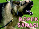 K�pekle �aka!
