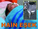 Hain e�ek
