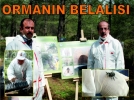 Orman�n belal�s�