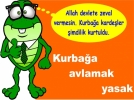 Kurba�alar kurtuldu