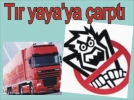 T�r yaya’ya �arpt� 