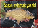 Sazan av� yasa�� ba�lad�