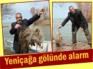 Yeni�a�a g�l�nde alarm