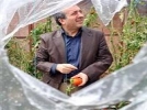 Sebzelere zam geliyor
