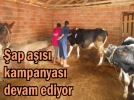 106 bin hayvan a��lanacak
