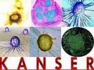 Bayanlara kanser taramas�