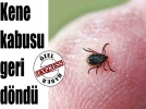 Bela sezonu a��ld� 