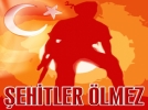 �ehit d��en askeri da�da unuttular!