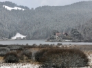 Abant devrediliyor 