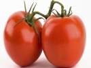 T�rk domatesinde Hepatit A ��kt�!