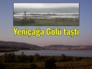 Yeni�a�a G�l� ta�t�