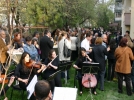 �YDD �ubesini a�t�