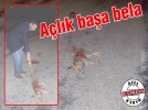 A�l�k ba�a bela